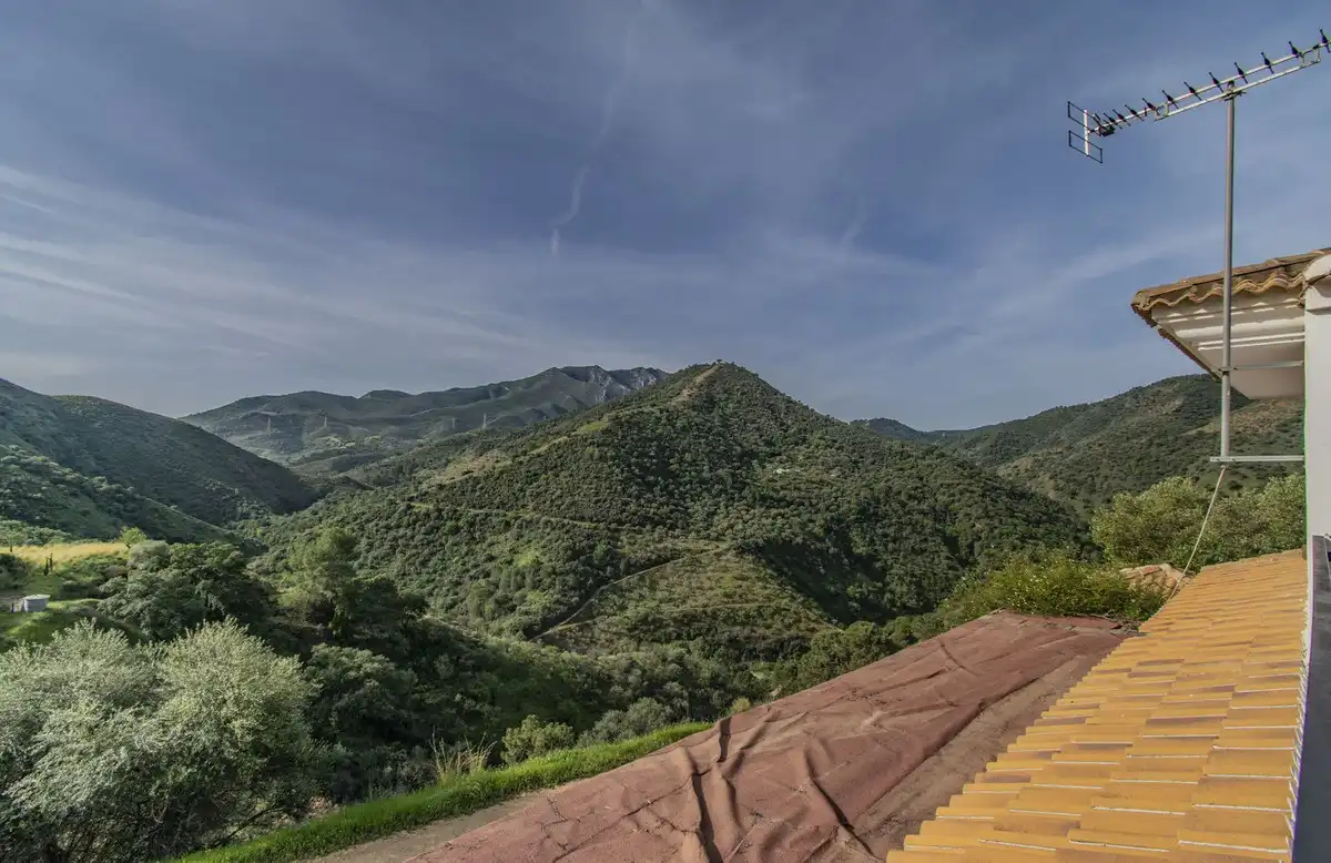 Chalet con piscina en venta en Calle Málaga, imagen 34