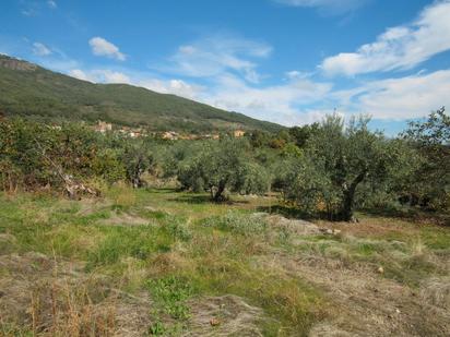 Finca rústica en venda en Valverde de la Vera