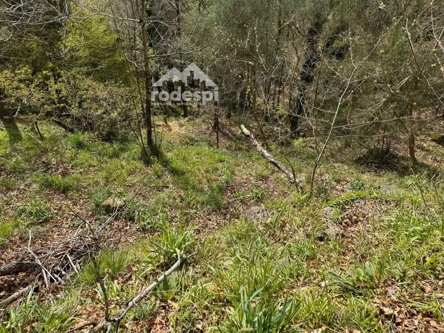Rural land for sale in Arbo, imagen 9