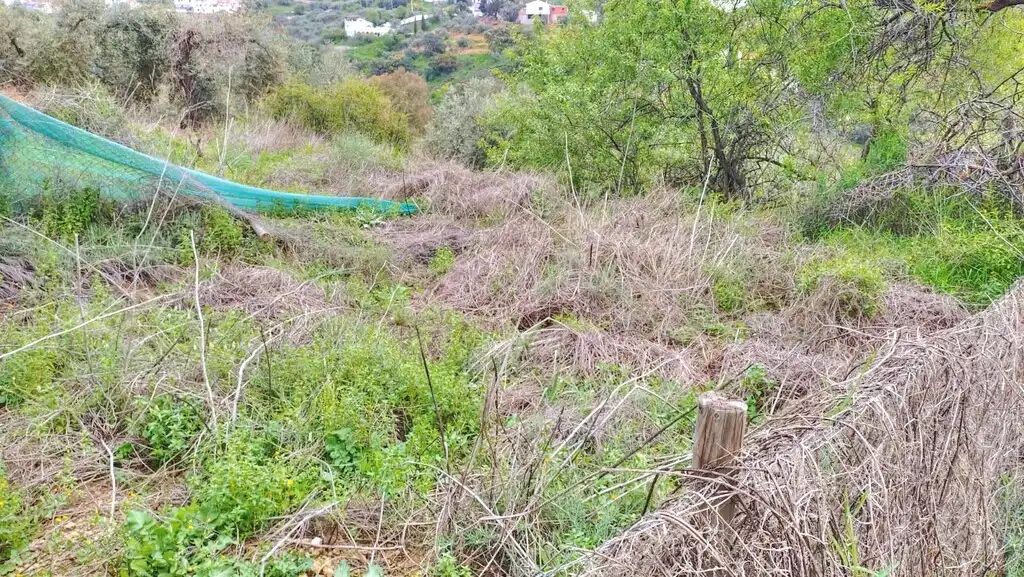 Terreni e lotti in vendita a Comares, imagen 7