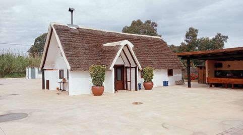 Foto 4 de Finca rústica en venta en Eucaliptus - Poble Nou del Delta, Amposta