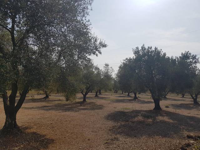 Terreno en Venta en La Galera