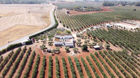 Photo 5 of Country house for sale in Carretera Diseminados 2, Carmona, Sevilla