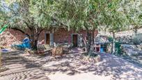 Jardí de Casa o xalet en venda en San Bartolomé de Tirajana