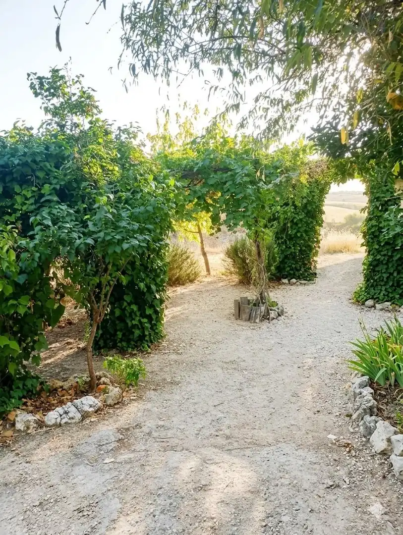 Garden of Commercial properties for rent in Aranjuez