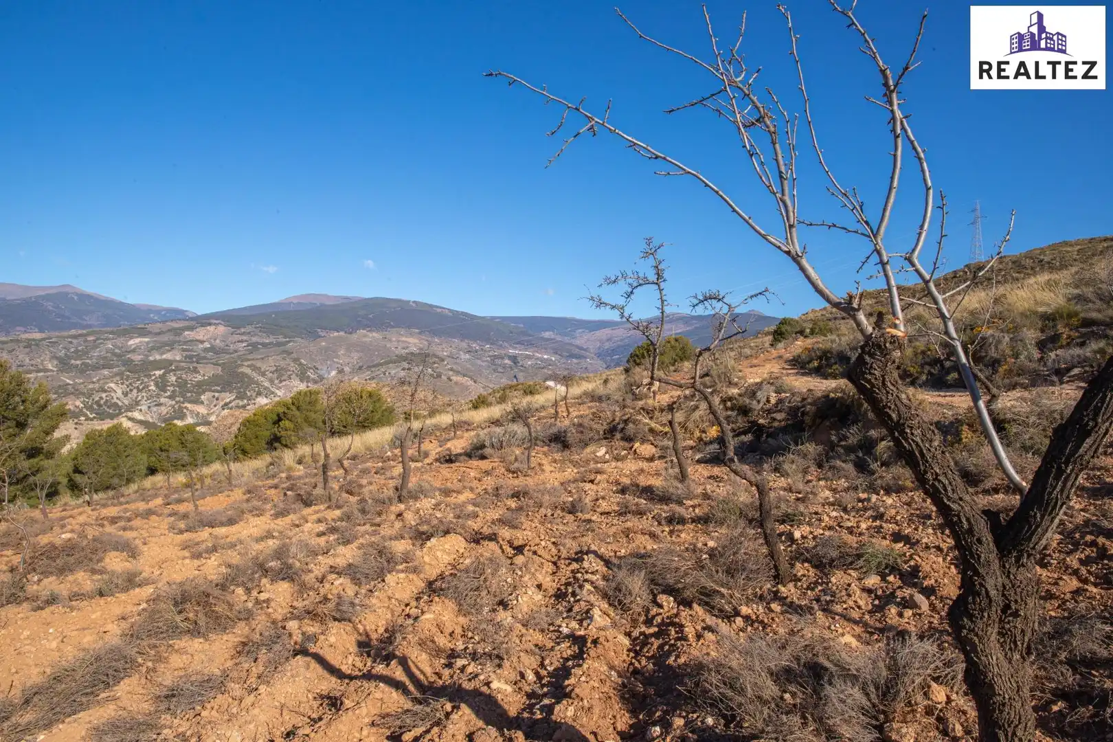 Terrain rustique à vendre à Alcolea, imagen 5