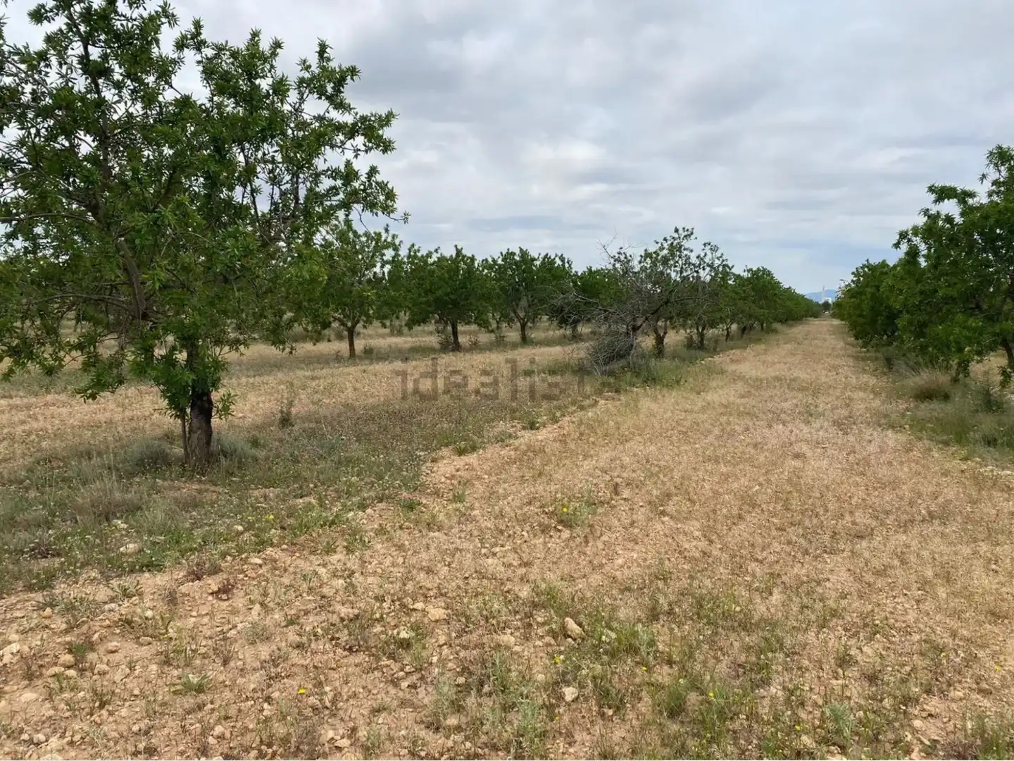 Terrain rustique à vendre à Carrer dels Teixidors, imagen 6