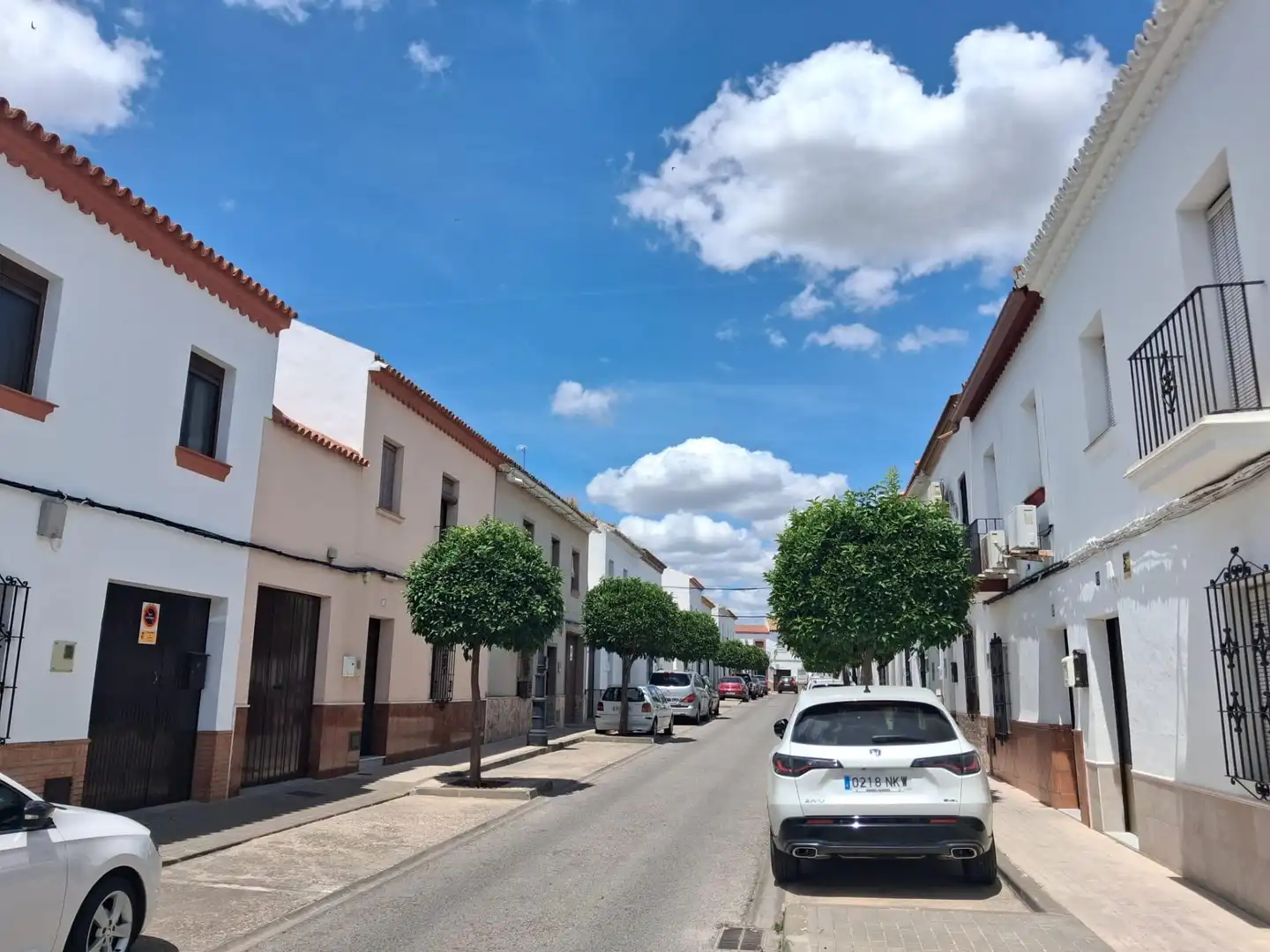 Houses for sale in Olivares