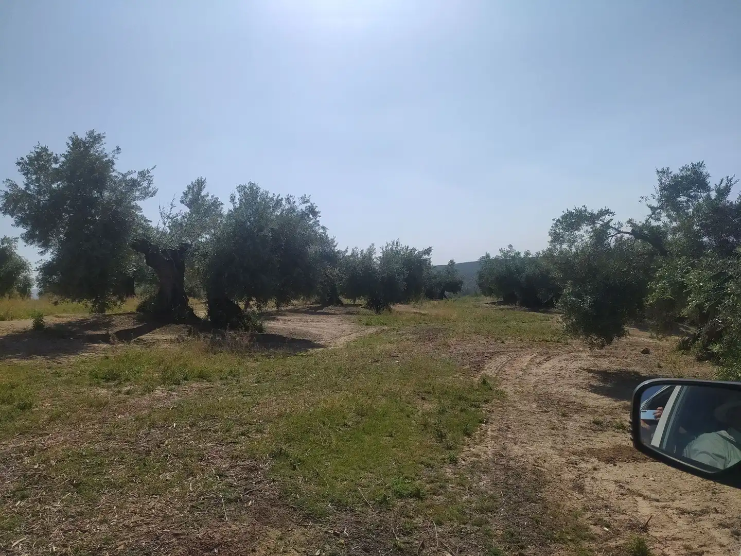 Terreni e lotti in vendita a Villanueva de la Reina, imagen 15