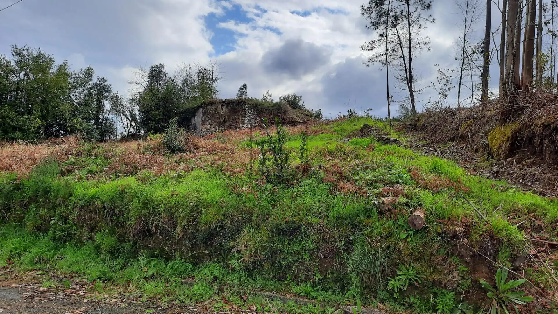 Terreno residenziale in vendita a Calle Bidueda