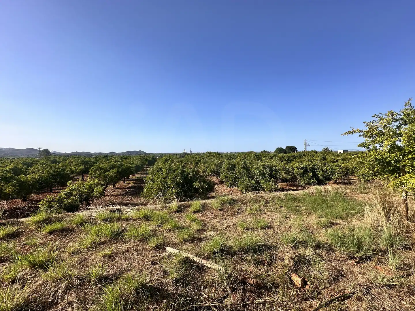 Terreno rustico in vendita a Pego, imagen 15