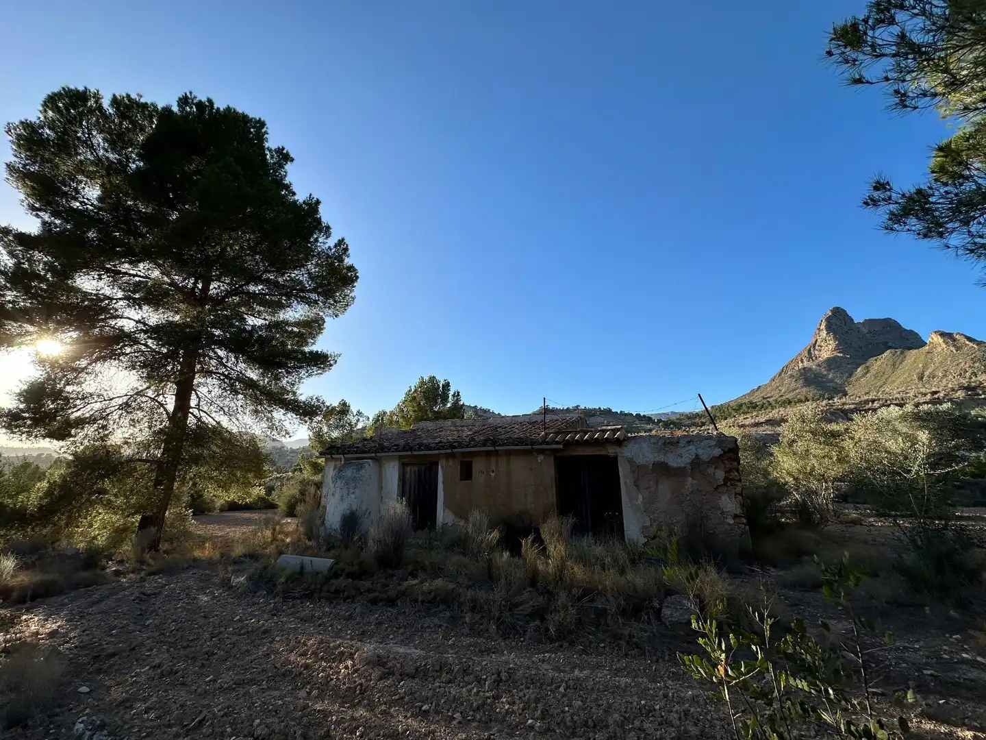 Terreny rústic en venda a CREMATS, imagen 3