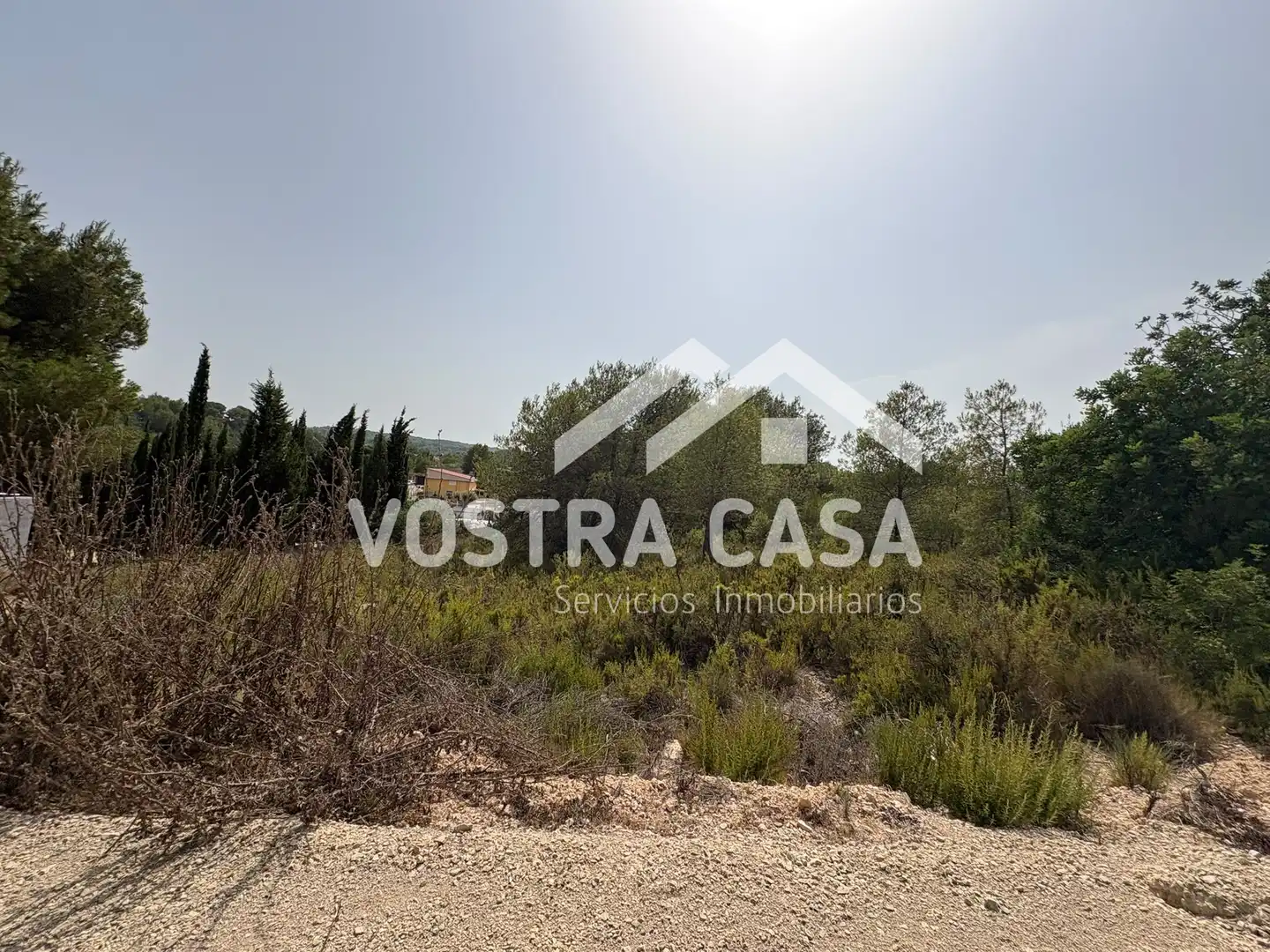 Terreno en venta en Chiva