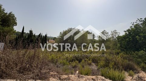 Foto 3 de Terreny en venda a Veintisiete, -1, Los Felipes - Corral de Carmelo, Chiva