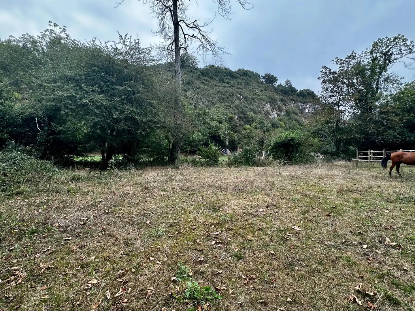 Residential for sale in Cangas de Onís