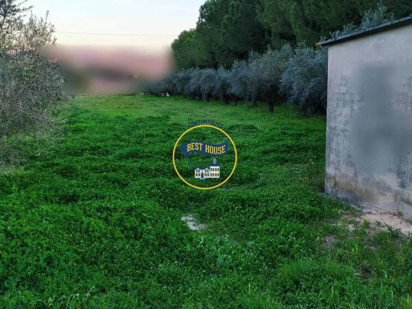Rural land for sale in El Pilar, imagen 2