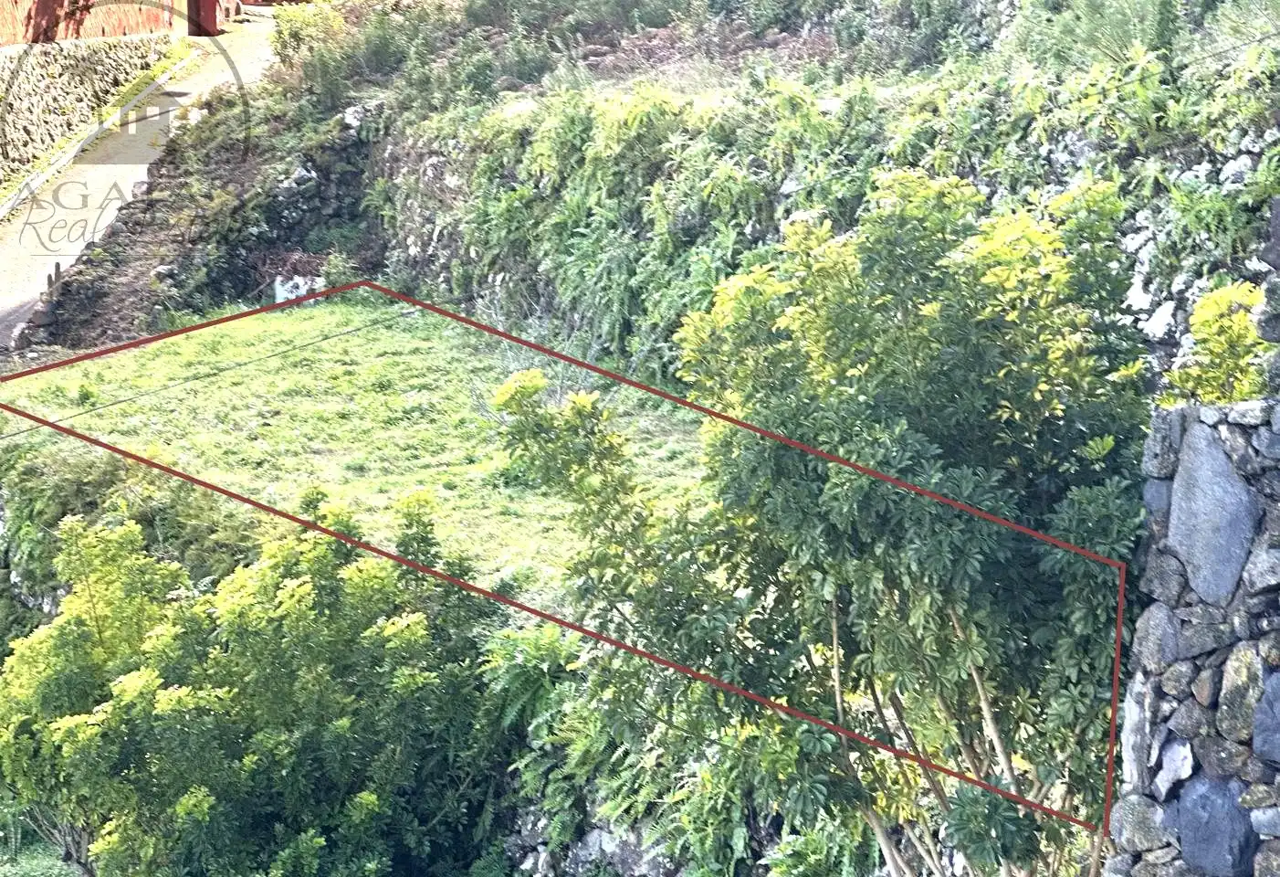 Casa con jardín en venta en La Vega - El Amparo - Cueva del Viento, imagen 40