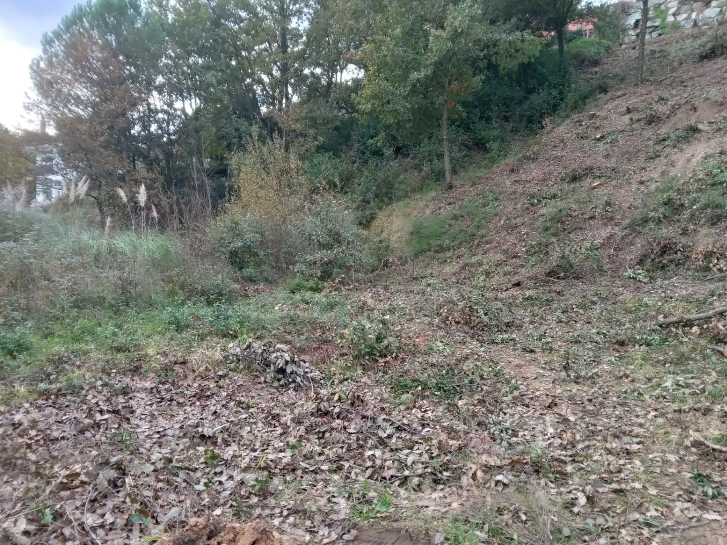 Terreno residenziale in vendita a Carrer de Isabel la católica 277, imagen 8