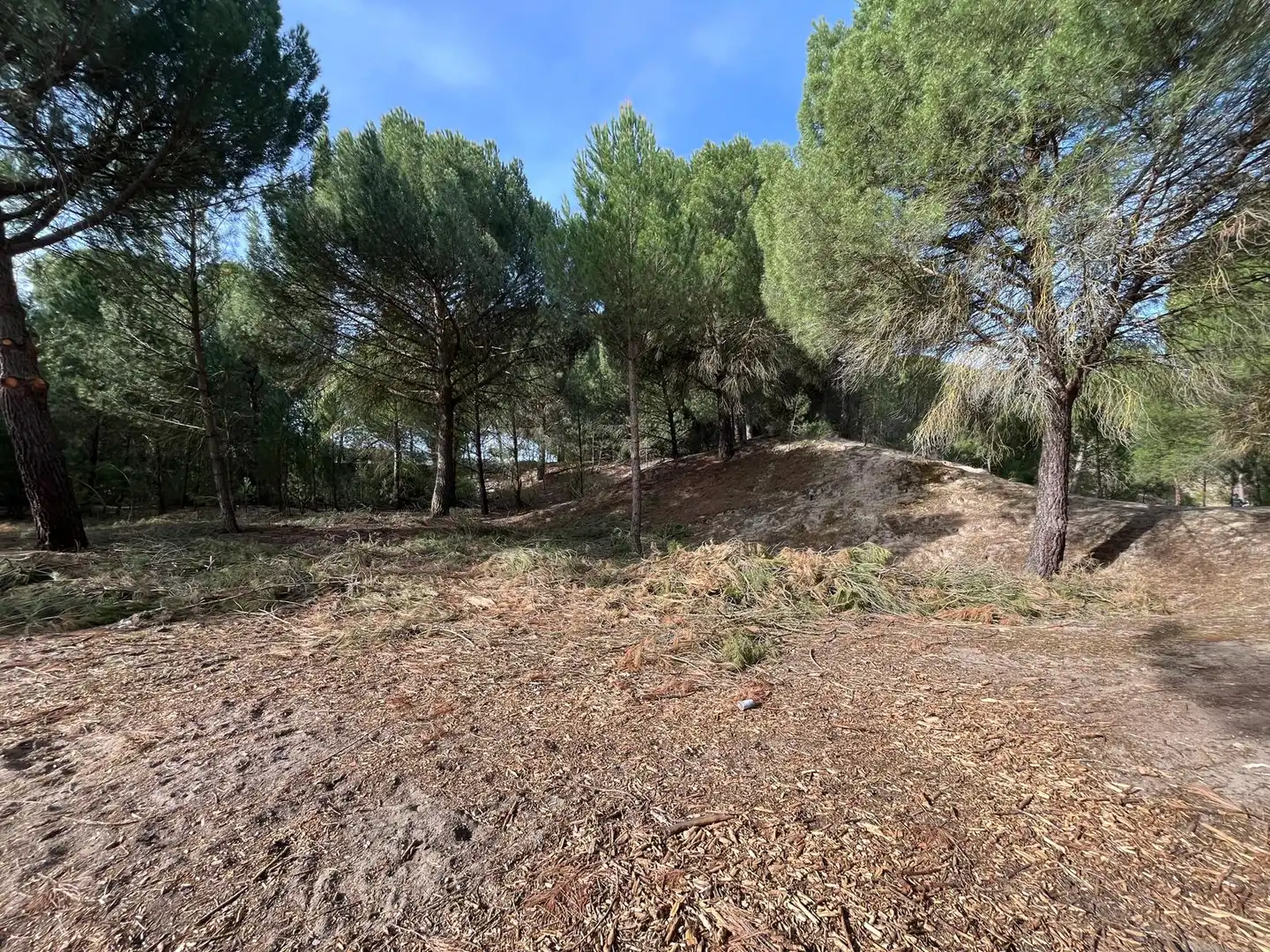 Terreno en venta en Tudela de Duero