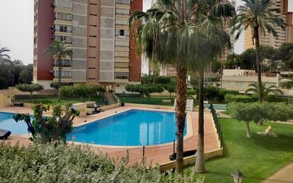 Swimming pool of Apartment for sale in Benidorm  with Terrace