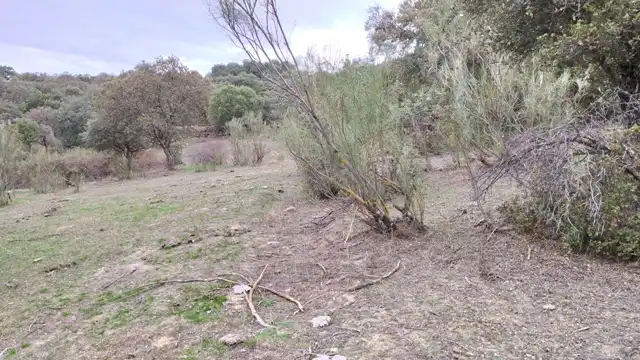 Terreni e lotti in vendita a Fresnedilla, imagen 10
