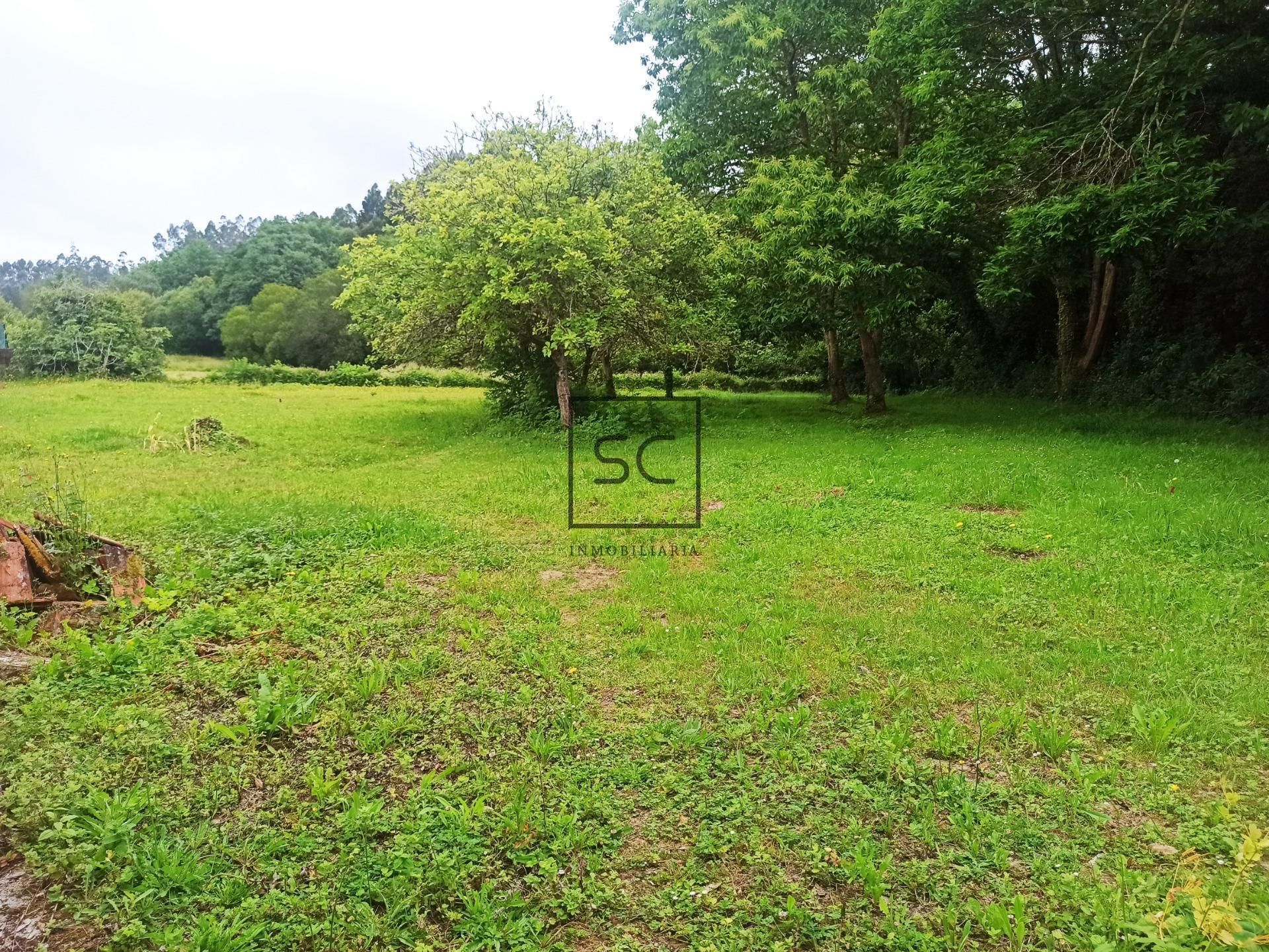 Casa o xalet en venda en Narón amb Jardí privat