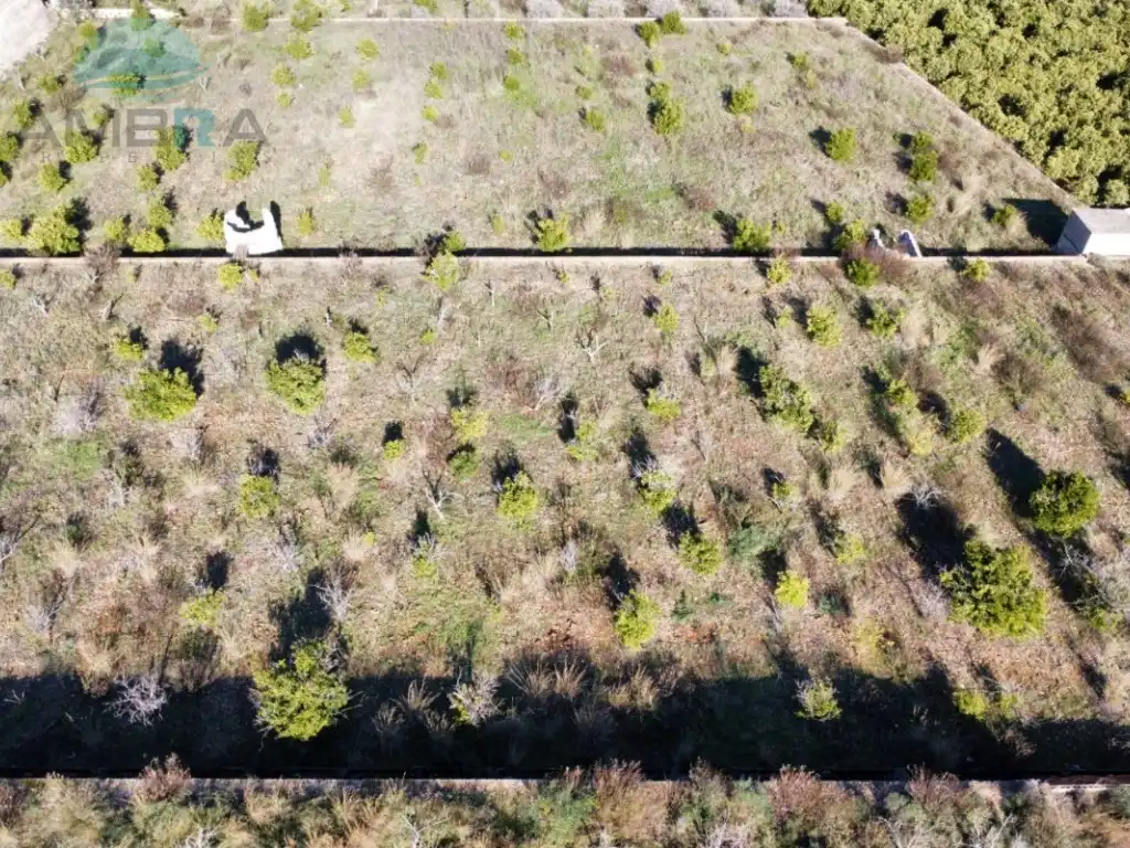 Terreny rústic en venda a Les hortes, imagen 4