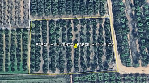 PARCELA DE CÍTRICOS Y RECREO, OPCIÓN CASETA, immagine 2
