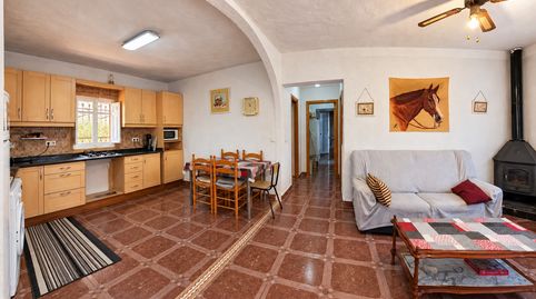 Finca rústica de 4316 m con vivienda, piscina y olivar en Segorbe, imagen 3