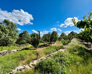 Land for sale in Avenida del Castañar, Rebollar (Cáceres)