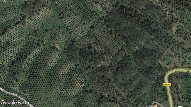 Terreno en Venta en Alcaracejos