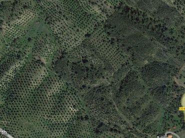 Terreno rustico in vendita a Alcaracejos