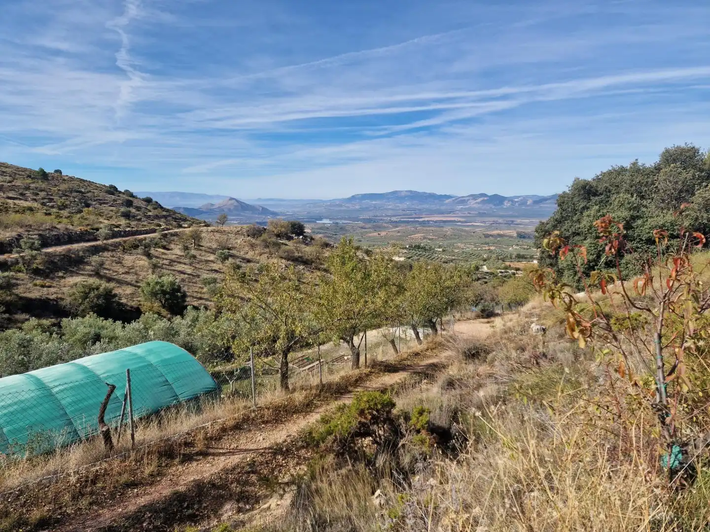 Maison rustique avec jardin à vendre à Cogollos de la Vega, imagen 12