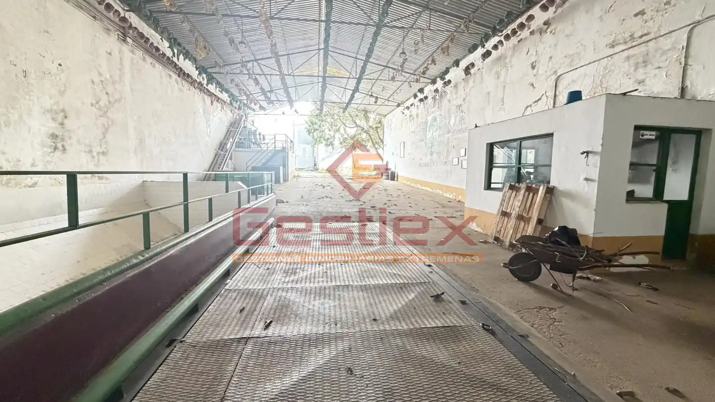 Nave industrial en venta en Almendralejo, imagen 2