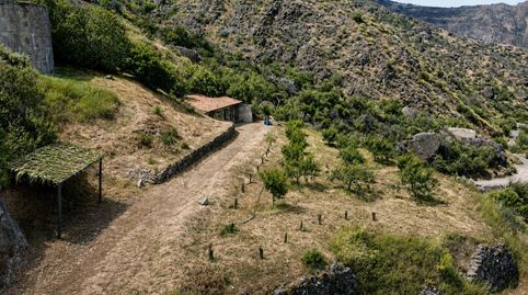 Foto 2 de Finca rústica en venta en Camino Lugar Diseminado Timagada, Tejeda, Las Palmas