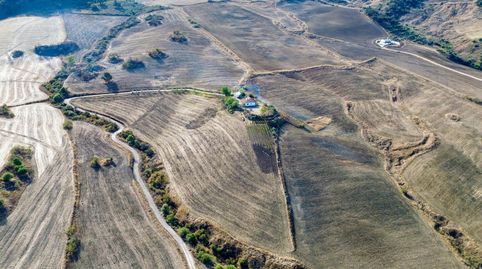 Foto 5 de Terreno en venta en Pd Montecorto 1468 , Partidas Norte, Ronda