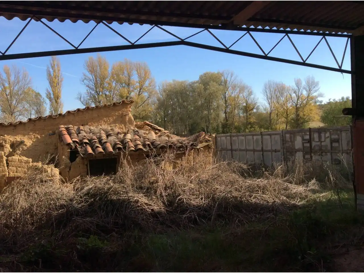 Vista exterior de Casa o chalet en venta en Pajares de los Oteros con Jardín privado