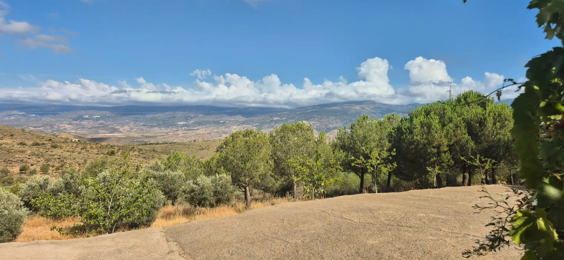 Terrain rustique à vendre à Alcolea, imagen 13