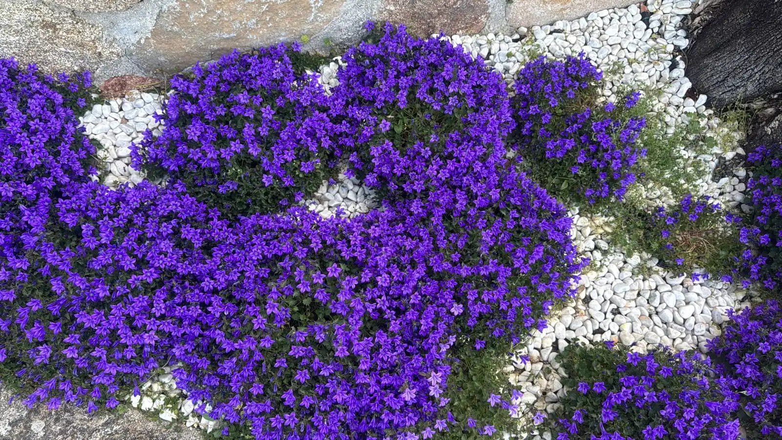 Garden of Houses for sale in Valdemorillo  with Air Conditioner, Heating and Private garden