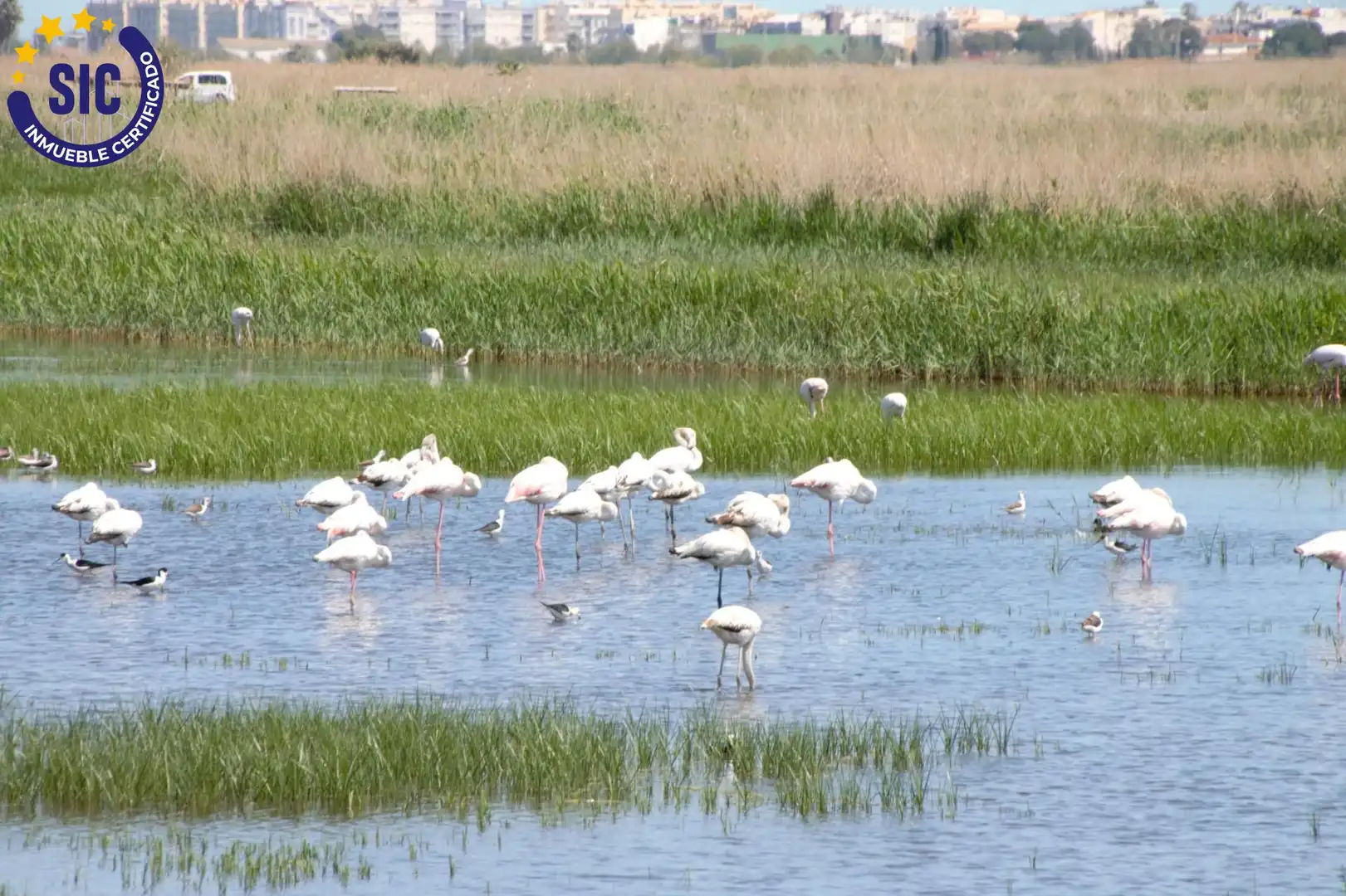 Piso en venta en Almenara con Calefacción