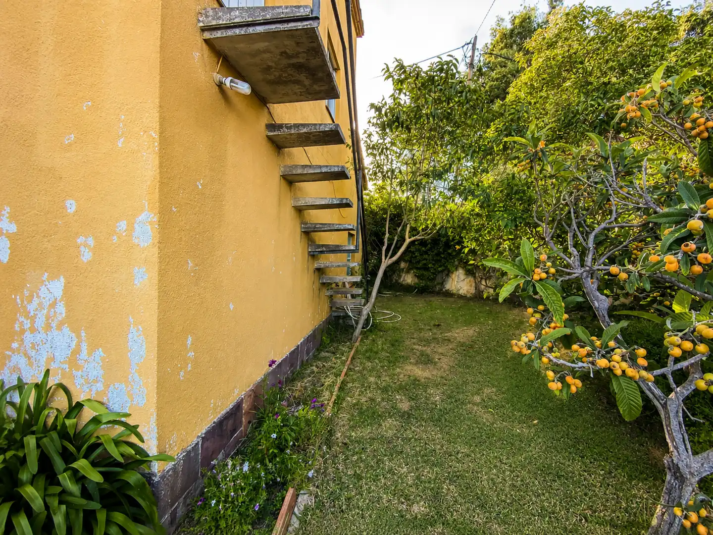 Vista exterior de Finca rústica en venda en Sant Andreu de Llavaneres amb Jardí privat