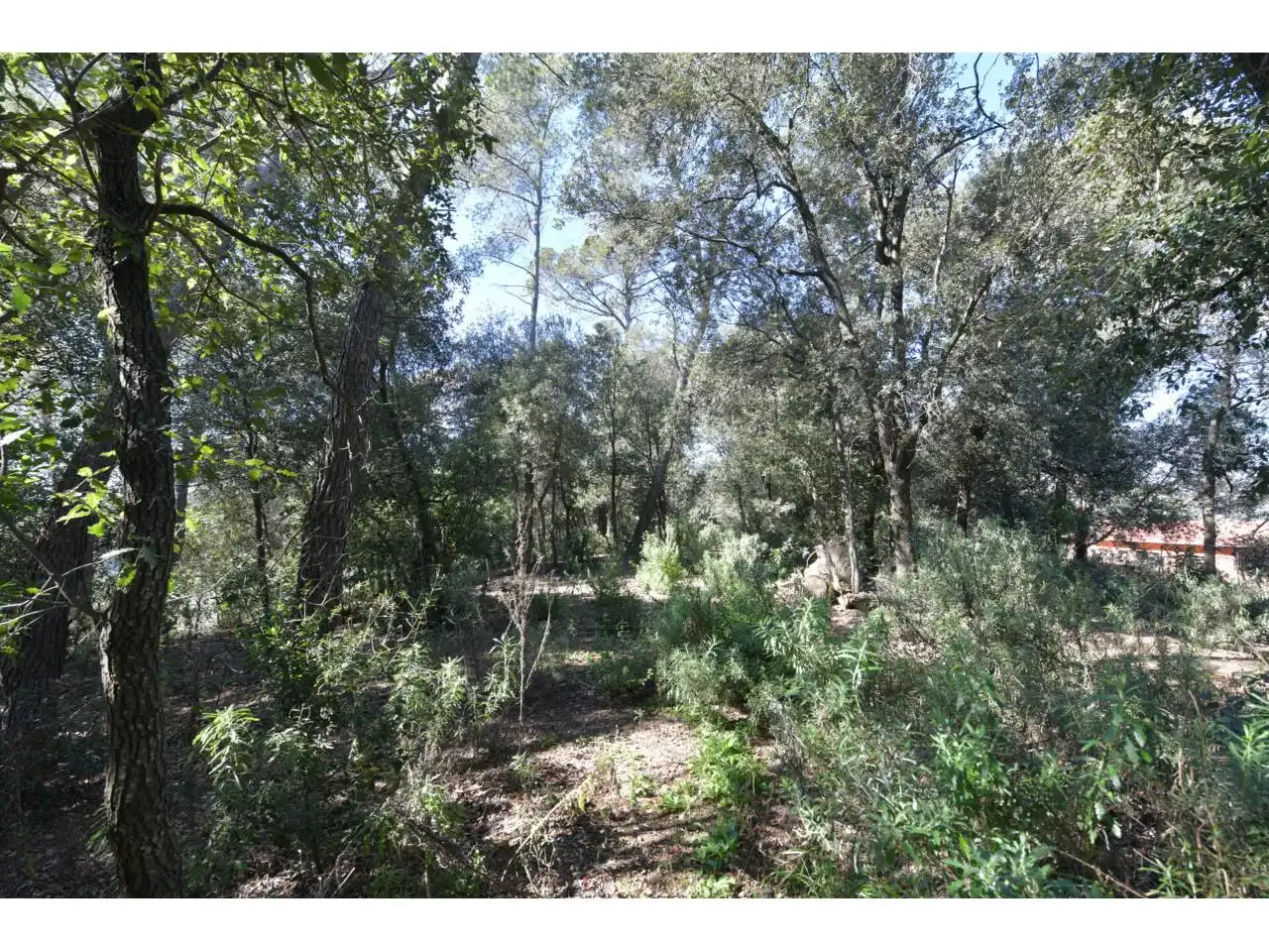 Wohnbaugrundstück zum Verkauf in El Racó - Sant Feliu del Racó, imagen 18