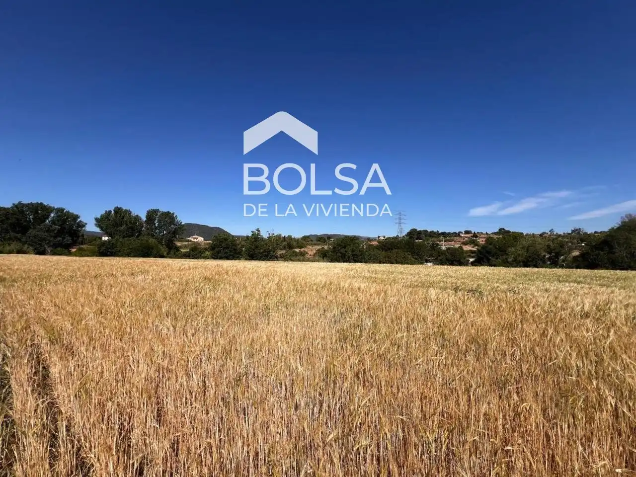 Rural land for sale in Barri Mion - Puigberenguer, imagen 4