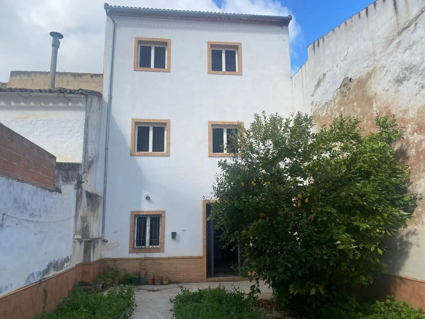 Exterior view of Detached homes for sale in Benamejí  with Private garden, Terrace and Storage room