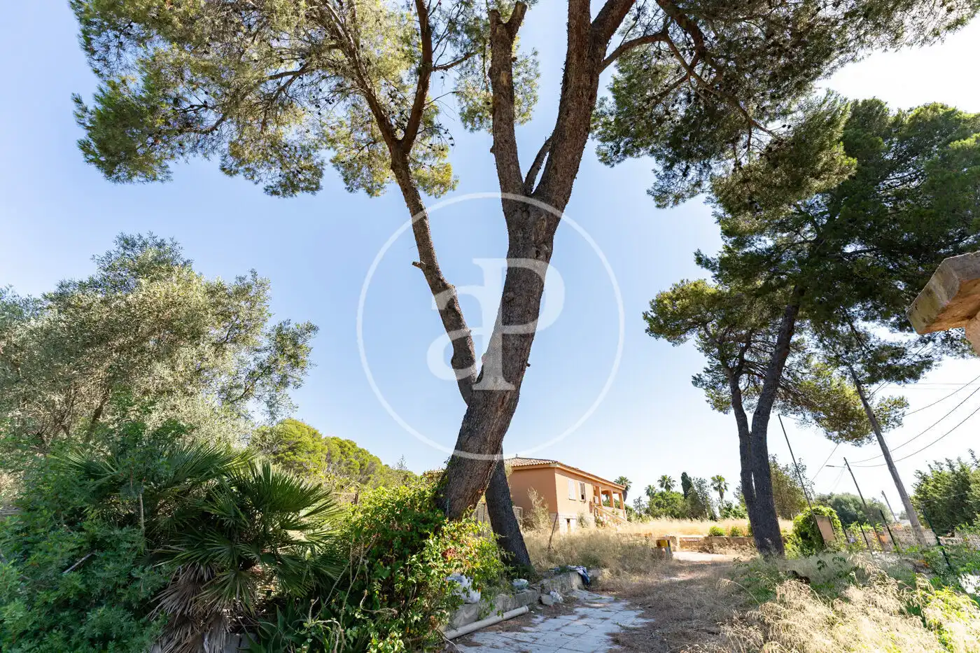 Casa o xalet en venda en Marratxí amb Calefacció, Jardí privat i Piscina