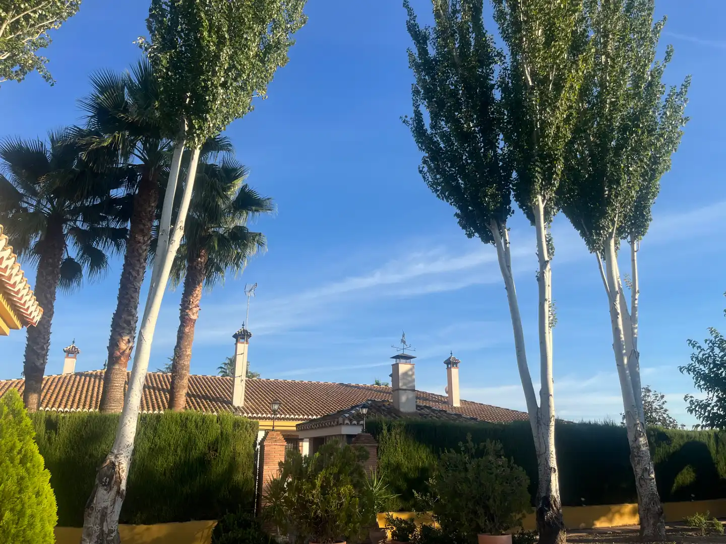 Industrial building for sale in Carretera de Córdoba, imagen 10