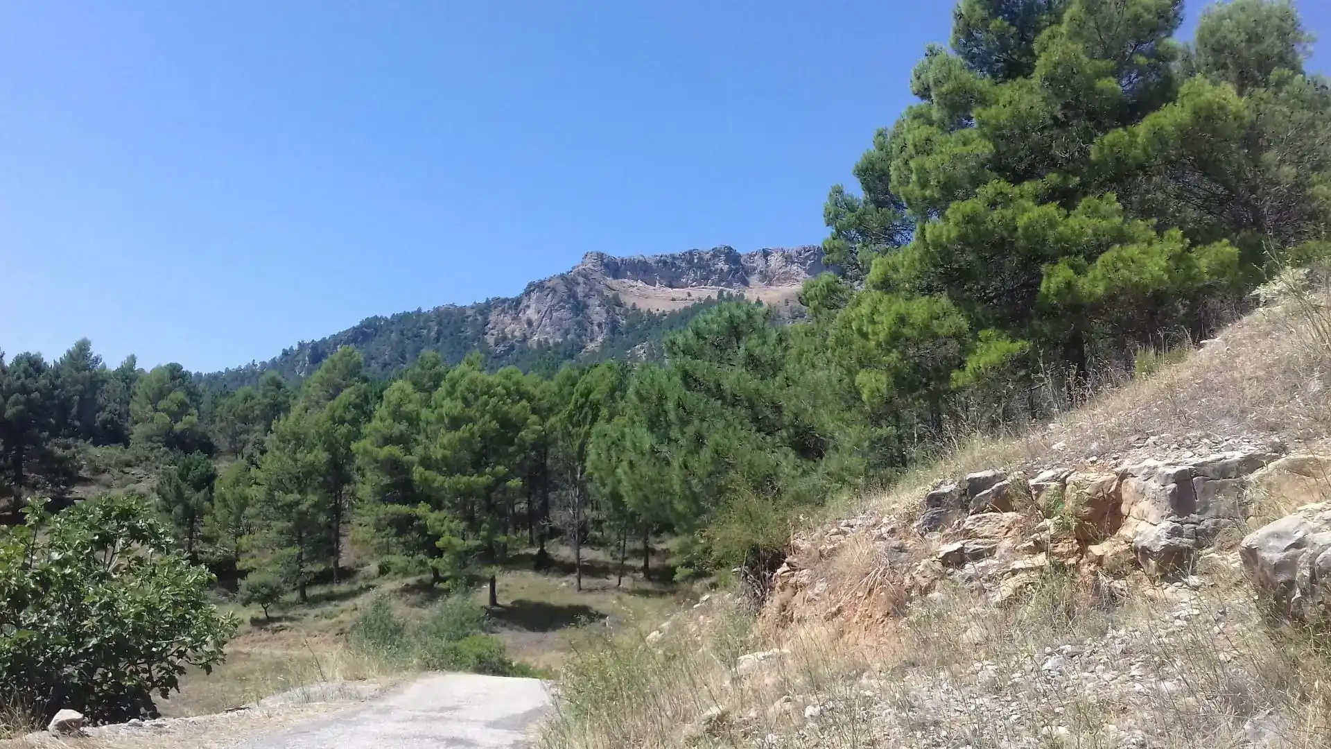 Finca rústica en venta en Yeste