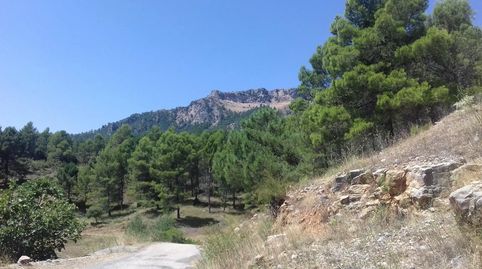 Foto 3 de Finca rústica en venta en Yeste, Albacete