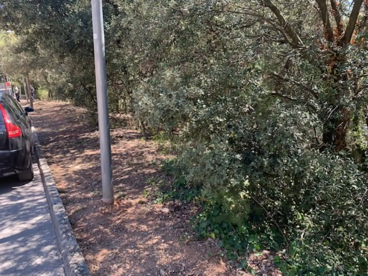 Rural land for sale in Calle de la serra del gall, imagen 3