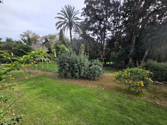 Detached homes for rent in Sotogrande  with Air Conditioner, Private garden and Terrace